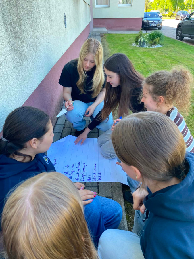 Idėjų dirbtuvės – nuo minties iki veiklos prototipo 1